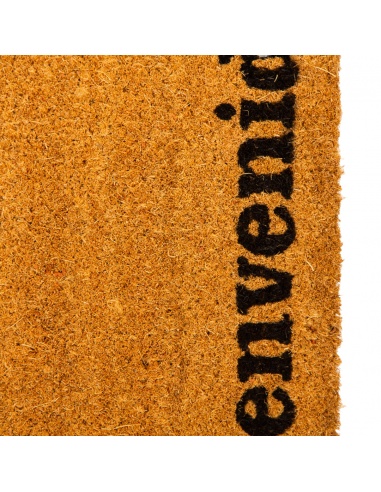 FELPUDO BIENVENIDO 40X60 CM COCO/GOMA